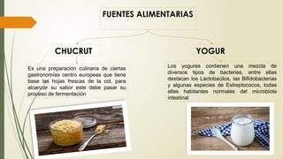 FUENTES ALIMENTARIAS
CHUCRUT
Es una preparación culinaria de ciertas
gastronomías centro europeas que tiene
base las hojas frescas de la col, para
alcanzar su sabor este debe pasar su
proceso de fermentación
YOGUR
Los yogures contienen una mezcla de
diversos tipos de bacterias, entre ellas
destacan los Lactobacilos, las Bifidobacterias
y algunas especies de Estreptococos, todas
ellas habitantes normales del microbiota
intestinal
 