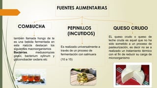 FUENTES ALIMENTARIAS
COMBUCHA
también llamada hongo de te
es una bebida fermentada en
esta mezcla destacan los
siguientes macroorganismos
Bacterias. medusomyces
gisevi, bacterium xylinum y
gluconobacter oxdans etc
QUESO CRUDO
EL queso crudo o queso de
leche cruda es aquel que no ha
sido sometido a un proceso de
pasteurización, es decir no se a
realizado un tratamiento térmico
con el fin de reducir su carga de
microorganismo
PEPINILLOS
(INCUTIDOS)
Es realizado universalmente a
través de un proceso de
fermentación con salmuera
(10 a 15)
 