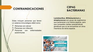 CONTRAINDICACIONES
CEPAS
BACTERIANAS
Estas incluyen personas que tienen
un sistema inmunológico débil como:
 Personas con cáncer
 Personas con infección
 Personas con enfermedades
autoinmunes
Lactobacillus, Bifidobacterium y
streptococcus son grupo de organismos
que pertenecen a la misma especie, pero
que comparten ciertas características
genéticas que no se encuentran en otros
miembros de dicha especie.
 