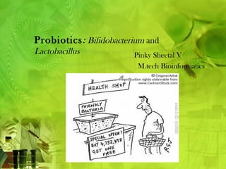 Probiotics : Bifidobacterium and
Lactobacillus            Pinky Sheetal V
                          M.tech Bioinformatics
 