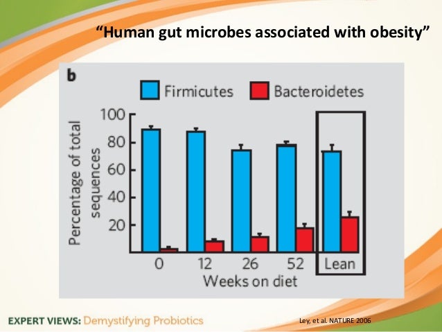 Human Gut Microbes Associated With Obesity Nature Human Gut Microbes Associated With Obesity Nature