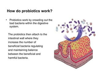 Probiotics