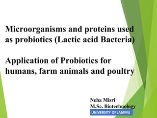 Microorganisms and proteins used
as probiotics (Lactic acid Bacteria)
Application of Probiotics for
humans, farm animals and poultry
Neha Misri
M.Sc. Biotechnology
UNIVERSITY OF JAMMU
 