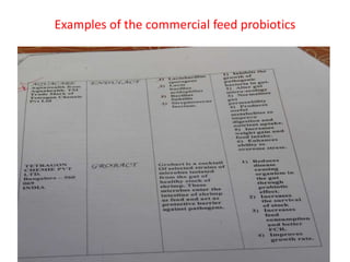 Examples of the commercial feed probiotics
 