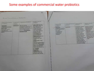 Some examples of commercial water probiotics
 