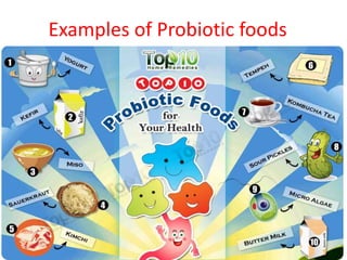 Examples of Probiotic foods
 