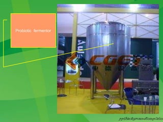 Probiotic fermentor
 