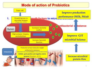 1. Provision of growth factors to microbial biomass
2. Production of low-molecular-weight antibacterial substance
Mode of action of Probiotics
High potency vitamen,
carobohydtare
Yeast cell
Increase microbial
protein flow
Improve GIT
microbial balance
Improve production
performance (Milk, Méat)
Production of low-molecular-weight
antibacterial substance
Rumen
Intestine
Growth factors to
microbial biomass
(Poppy et al., 2012).
Increases bacterial
number
Increase bacterial
function
Inhibits gram-positive and negative enteric
bacteria (Strohlein, 2013)
1
 