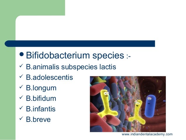 B Infantis Whole Foods Probiotic B Infantis Whole Foods Probiotic