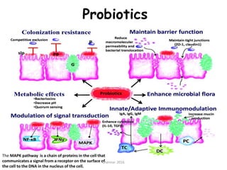 Probiotics final 2