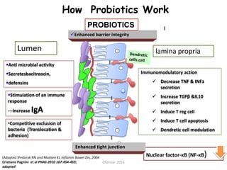 Probiotics final 2