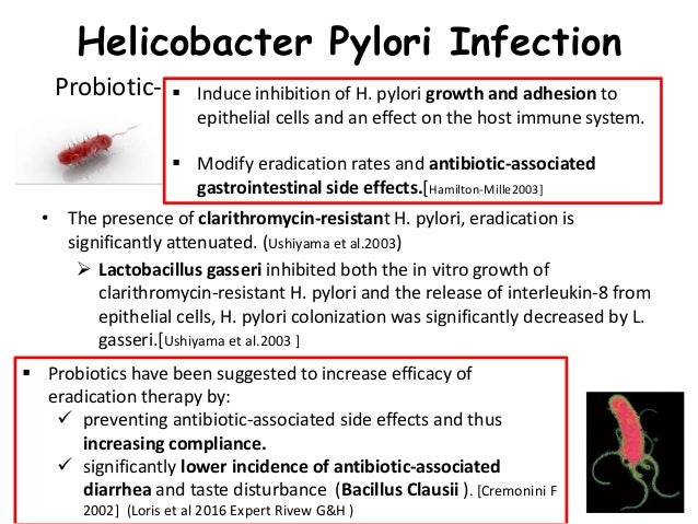Probiotics final 2 Probiotics final 2