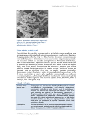 Guias Mundiais da WGO Probióticos e prebióticos 4
© World Gastroenterology Organisation, 2011
Figura 1 Micrografia eletrônica de Lactobacillus
salivarius 118 que se adere às células Caco-2.
(Reproduzido com licença de Quigley e Flourie,
Neurogastroenterol Motil 2007;19:166–72.)
O que são os probióticos?
Os probióticos são micróbios vivos que podem ser incluídos na preparação de uma
ampla gama de produtos, incluindo alimentos, medicamentos, e suplementos dietéticos.
As espécies de Lactobacillus (Fig. 1) e Bifidobactérias são as mais comumente usadas
como probióticos, mas o fermento Saccharomyces cerevisiae, e algumas espécies de E.
coli e Bacillus, também são utilizadas como probióticos. As bactérias ácido-lácticas,
entre as quais se encontra a espécie Lactobacillus que fora utilizada para a conservação
de alimentos por fermentação durante milhares de anos, podem exercer uma função
dupla, atuar como agentes fermentadores dos alimentos e também gerar efeitos
benéficos à saúde. Em termos estritos, no entanto, o termo “probiótico” deveria ser
reservado para os micróbios vivos que, em estudos humanos controlados,
demonstraram produzir benefícios à saúde. A fermentação de alimentos oferece perfis
de sabor característicos e reduz o pH, impedindo a contaminação provocada por
possíveis patogênicos. A fermentação é utilizada mundialmente para a preservação de
uma série de produtos agrícolas sem processar (cereais, raízes, tubérculos, frutas e
hortaliças, leite, carne, peixe, etc.).
Tabela 2 Definições
Bactérias ácido-
lácticas (BAL)
Nesse grupo está incluída uma classificação funcional de bactérias
não-patogênicas, não-toxigênicas, Gram positivas, fermentativas,
associadas à produção de ácido láctico a partir de carboidratos e
podendo ser utilizadas na fermentação de alimentos. Nese grupo
estão incluídas as espécies de Lactobacillus, Lactococcus, e
Streptococcus thermophilus. Visto que o gênero Bifidobacterium não
produz a fermentação de alimentos e é taxonomicamente diferente
das outras BAL, não é habitualmente agrupado com as BAL. Muitos
probióticos também são BAL, mas alguns probióticos (como certas
cepas de E. coli, formadoras de esporos, e fermentos usados como
probióticos) não são.
Fermentação Processo durante o qual um microorganismo transforma alimentos
em outros produtos, habitualmente através da produção de ácido
láctico, etanol, e outros produtos finais do metabolismo
 