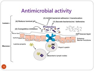 Antimicrobial activity
10
 