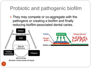 Probiotic and pathogenic biofilm
11
 They may compete or co-aggregate with the
pathogens or creating a biofilm and finally
reducing biofilm-associated dental caries.
 
