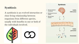 Symbiosis
A symbiosis is an evolved interaction or
close living relationship between
organisms from different species,
usually with benefits to one or both of
the individuals involved.
 