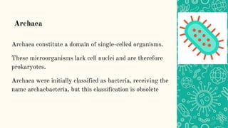 Archaea constitute a domain of single-celled organisms.
These microorganisms lack cell nuclei and are therefore
prokaryotes.
Archaea were initially classified as bacteria, receiving the
name archaebacteria, but this classification is obsolete
Archaea
 