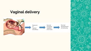 Vaginal delivery
 