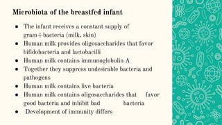 Microbiota of the breastfed infant
● The infant receives a constant supply of
gram+bacteria (milk, skin)
● Human milk provides oligosaccharides that favor
bifidobacteria and lactobacilli
● Human milk contains immunoglobulin A
● Together they suppress undesirable bacteria and
pathogens
● Human milk contains live bacteria
● Human milk contains oligosaccharides that favor
good bacteria and inhibit bad bacteria
● Development of immunity differs
 