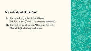 Microbiota of the infant
I. The good guys: Lactobacilli and
Bifidobacteria(fucose-consuming bacteria)
II. The not so good guys: All others (E. coli,
Clostridia)including pathogens
 