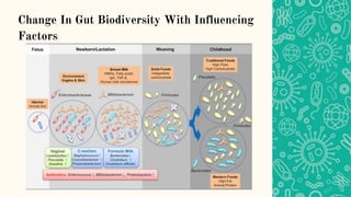 Change In Gut Biodiversity With Influencing
Factors
 