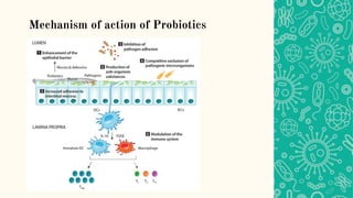 Mechanism of action of Probiotics
 