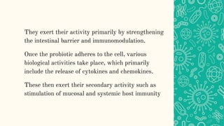 They exert their activity primarily by strengthening
the intestinal barrier and immunomodulation.
Once the probiotic adheres to the cell, various
biological activities take place, which primarily
include the release of cytokines and chemokines.
These then exert their secondary activity such as
stimulation of mucosal and systemic host immunity
 