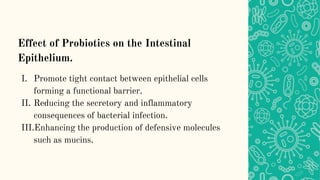 Effect of Probiotics on the Intestinal
Epithelium.
I. Promote tight contact between epithelial cells
forming a functional barrier.
II. Reducing the secretory and inflammatory
consequences of bacterial infection.
III.Enhancing the production of defensive molecules
such as mucins.
 
