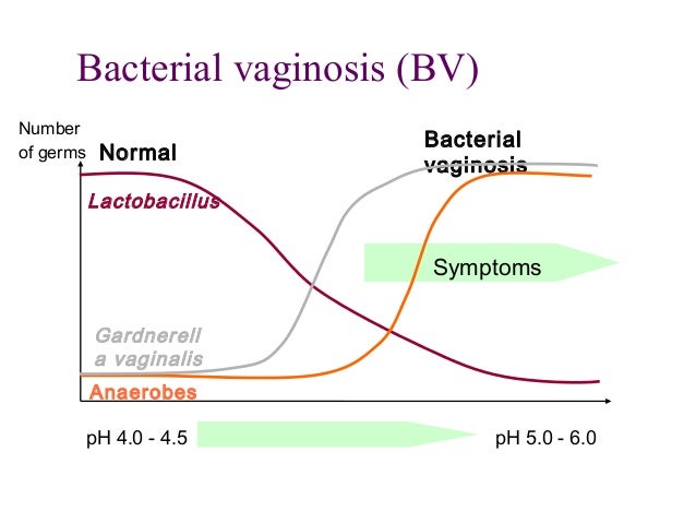 Bacterial vaginosis uk