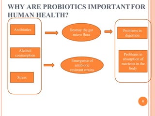 WHY ARE PROBIOTICS IMPORTANTFOR
HUMAN HEALTH?
Antibiotics
Alcohol
consumption
Stress
Destroy the gut
micro flora
Problems in
digestion
Problems in
absorption of
nutrients in the
body
Emergence of
antibiotic
resistant strains
6
 