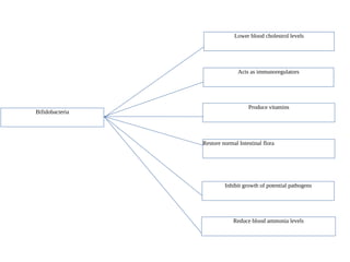 Bifidobacteria
Lower blood cholestrol levels
Reduce blood ammonia levels
Inhibit growth of potential pathogens
Restore normal Intestinal flora
Produce vitamins
Acts as immunoregulators
 