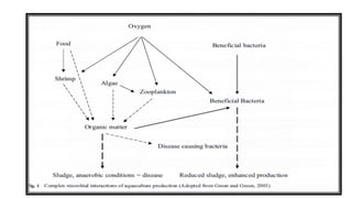 Probiotics used in aquaculture | PDF