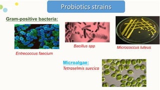 Probiotics used in aquaculture | PDF