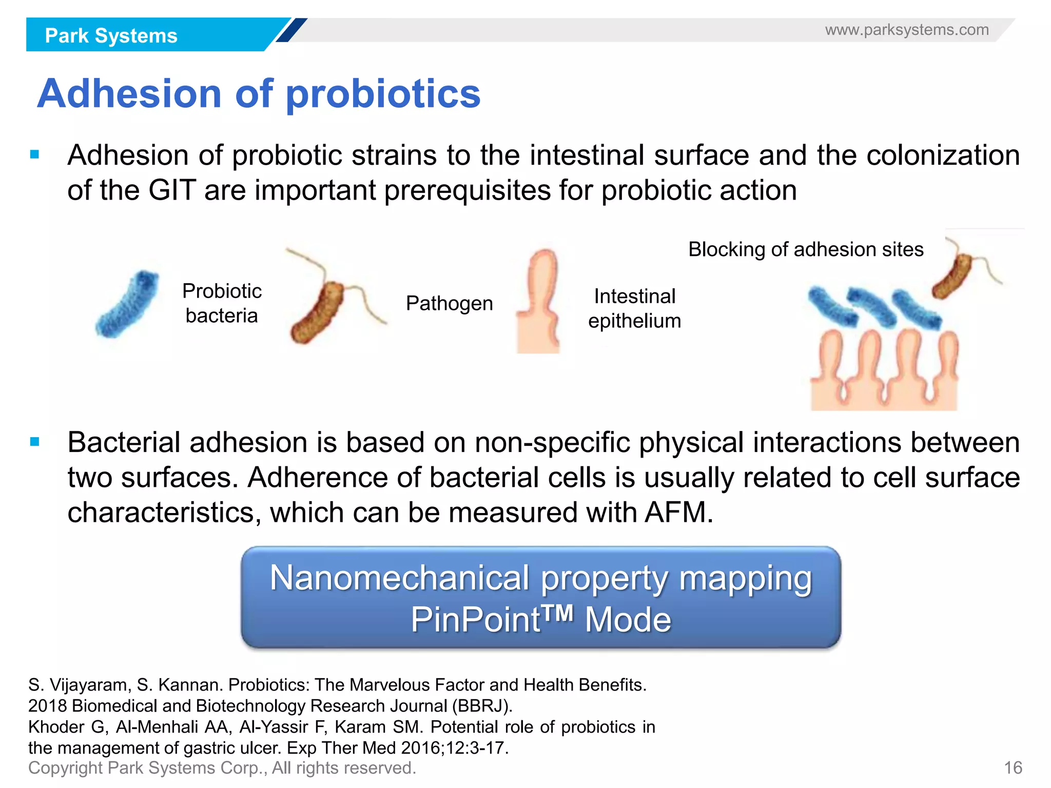 Park Systems www.parksystems.com
Copyright Park Systems Corp., All rights reserved. 16
Adhesion of probiotics
 Adhesion of probiotic strains to the intestinal surface and the colonization
of the GIT are important prerequisites for probiotic action
 Bacterial adhesion is based on non-specific physical interactions between
two surfaces. Adherence of bacterial cells is usually related to cell surface
characteristics, which can be measured with AFM.
S. Vijayaram, S. Kannan. Probiotics: The Marvelous Factor and Health Benefits.
2018 Biomedical and Biotechnology Research Journal (BBRJ).
Khoder G, Al-Menhali AA, Al-Yassir F, Karam SM. Potential role of probiotics in
the management of gastric ulcer. Exp Ther Med 2016;12:3-17.
Probiotic
bacteria
Pathogen Intestinal
epithelium
Blocking of adhesion sites
Nanomechanical property mapping
PinPointTM Mode
 