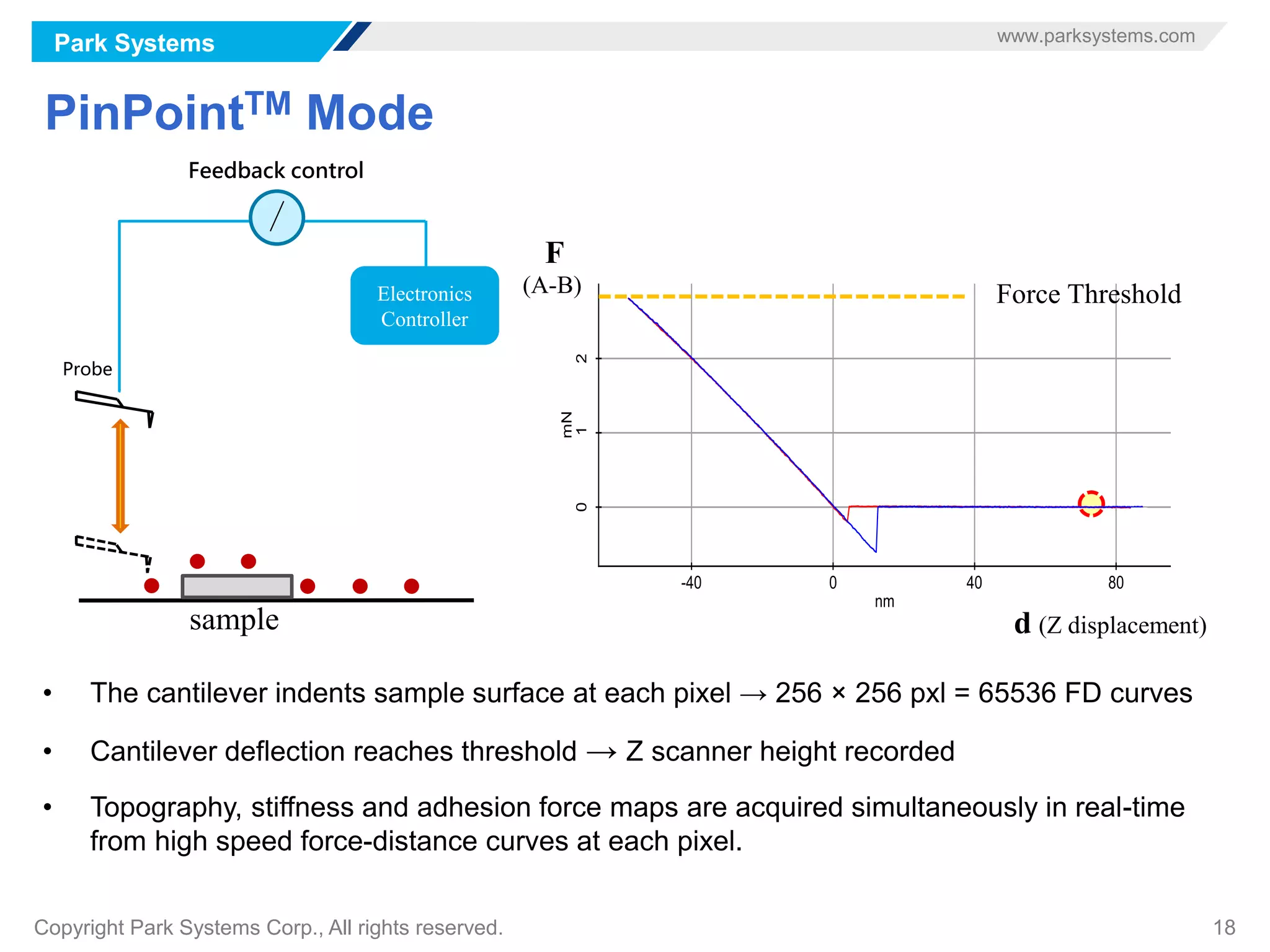Park Systems www.parksystems.com
Copyright Park Systems Corp., All rights reserved. 18
PinPointTM Mode
Probe
sample
Electronics
Controller
Feedback control
(A-B)
d (Z displacement)
F
• The cantilever indents sample surface at each pixel → 256 × 256 pxl = 65536 FD curves
• Cantilever deflection reaches threshold → Z scanner height recorded
• Topography, stiffness and adhesion force maps are acquired simultaneously in real-time
from high speed force-distance curves at each pixel.
Force Threshold
 
