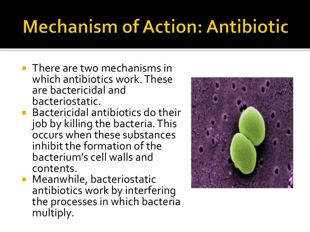 Probiotic VS Antibiotic