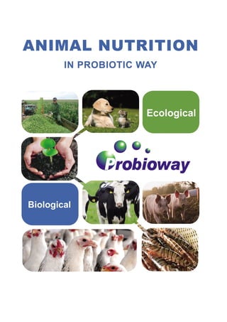 Probioway brochure English Version