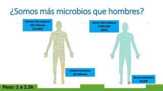 ¿Somos más microbios que hombres?
Peso: 1 a 2.5k
Células Microbianas
100 trillones
(70-90%)
Células Humanas
30 trillones
Genes Microbianos
2’000,000
(99%)
Genes humanos
20,000
 