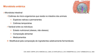 Microbiota entérica
COX; WEST, CRIPPS, 2015; KINROSS et al., 2008; LE CHATELIER et al., 2013; ROBERFRID et al., 2010; TURNBAUGH et al., 2009
➢Microbiota intestinal
✓Colônias de micro-organismos que reside no intestino dos animais
▪ Espécies nativas e permanentes
▪ Colônias temporárias
✓Variável entre os indivíduos
▪ Estado nutricional (obesos, não obesos)
▪ Composição alimentar
▪ Medicamentos
❖ Modificável pela composição de ingredientes seletivamente fermentáveis
 