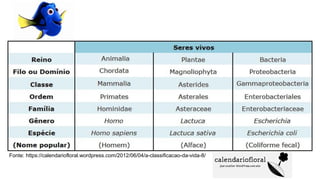 Fonte: https://calendariofloral.wordpress.com/2012/06/04/a-classificacao-da-vida-8/
 