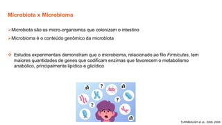 Microbiota x Microbioma
TURNBAUGH et al., 2006, 2008
➢Microbiota são os micro-organismos que colonizam o intestino
➢Microbioma é o conteúdo genômico da microbiota
❖ Estudos experimentais demonstram que o microbioma, relacionado ao filo Firmicutes, tem
maiores quantidades de genes que codificam enzimas que favorecem o metabolismo
anabólico, principalmente lipídico e glicídico
 