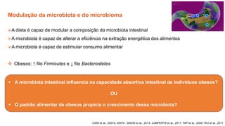 Modulação da microbiota e do microbioma
CANI et al., 2007a, 2007b ; DAVID et al., 2014; JUMPERTZ et al., 2011; TAP et al., 2009; WU et al., 2011
➢A dieta é capaz de modular a composição da microbiota intestinal
➢A microbiota é capaz de alterar a eficiência na extração energética dos alimentos
➢A microbiota é capaz de estimular consumo alimentar
❖ Obesos: ↑ filo Firmicutes e ↓ filo Bacteroidetes
▪ A microbiota intestinal influencia na capacidade absortiva intestinal de indivíduos obesos?
OU
▪ O padrão alimentar de obesos propicia o crescimento dessa microbiota?
 