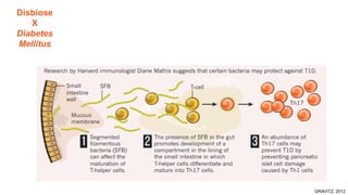 GRAVITZ, 2012
Disbiose
X
Diabetes
Mellitus
 