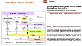 Microbioma materno e infantil
 