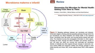 Microbioma materno e infantil
 