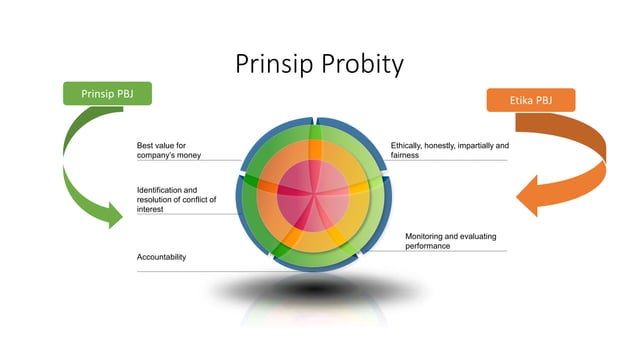 Probity Audit Hans-1.pptx