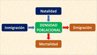 l
DENSIDAD
POBLACIONAL
Inmigración Emigración
Natalidad
Mortalidad
 
