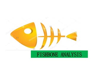 FISHBONE ANALYSIS
 
