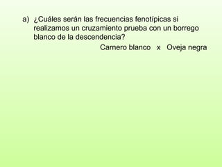 ¿Cuáles serán las frecuencias fenotípicas si realizamos un cruzamiento prueba con un borrego blanco de la descendencia?  Carnero blanco  x  Oveja negra 