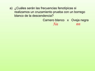 ¿Cuáles serán las frecuencias fenotípicas si realizamos un cruzamiento prueba con un borrego blanco de la descendencia?  Carnero blanco  x  Oveja negra Nn nn 